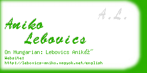 aniko lebovics business card